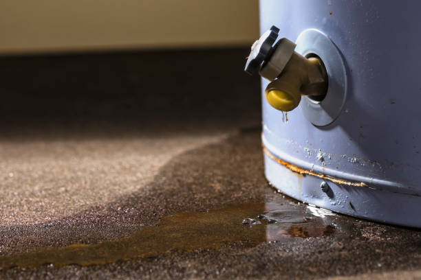 Best Commercial water damage restoration  in Rockwell City, IA