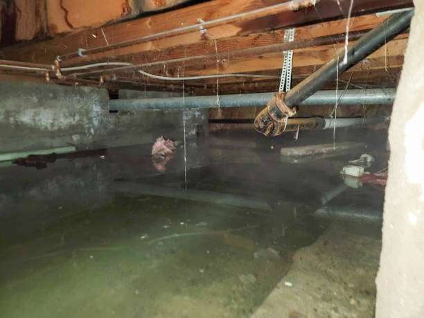Best Residential water damage restoration  in Rockwell City, IA