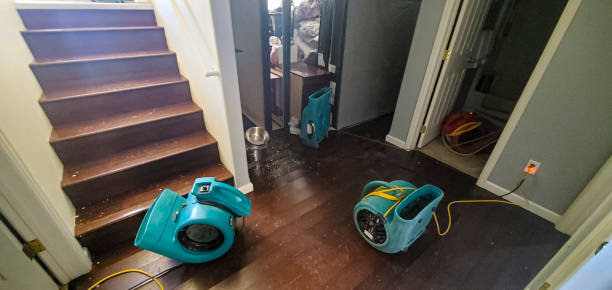  Rockwell City, IA Water damage restoration Pros