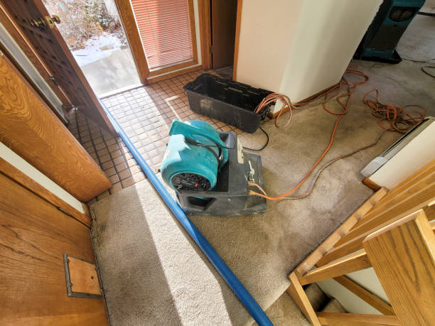 Best Emergency water damage restoration  in Rockwell City, IA