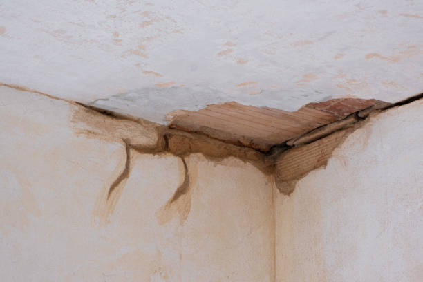 Best Professional water damage repair  in Rockwell City, IA
