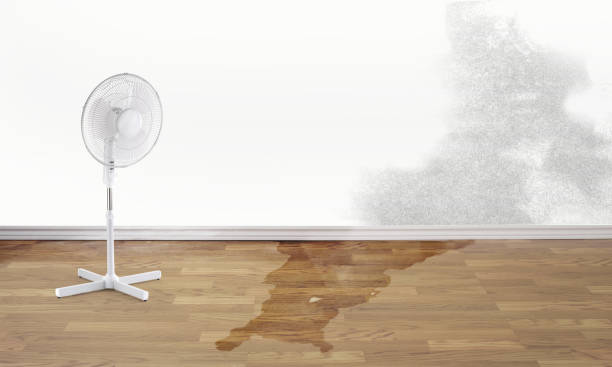 Best Local water damage restoration  in Rockwell City, IA