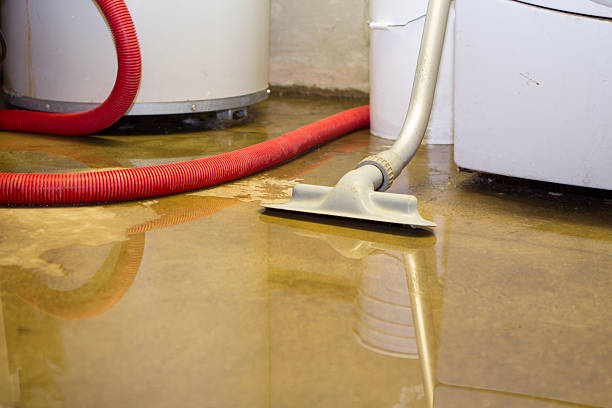 Best Emergency water extraction  in Rockwell City, IA