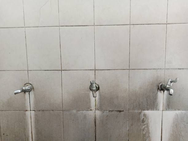 Best 24-hour water damage restoration  in Rockwell City, IA