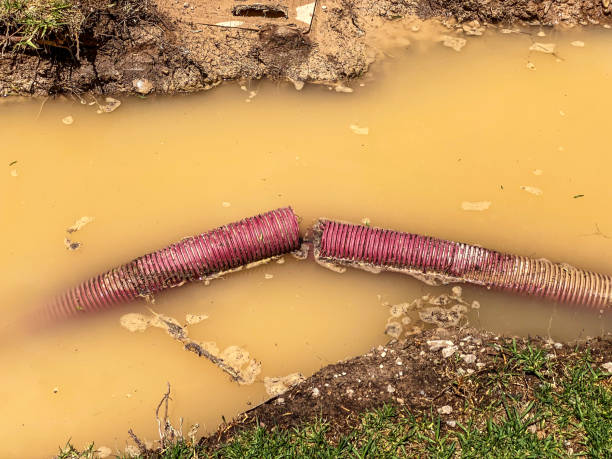 Best Flood damage cleanup  in Rockwell City, IA
