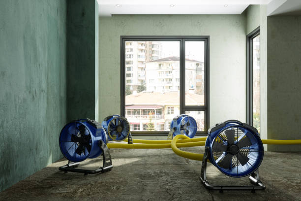 Best Carpet water damage restoration  in Rockwell City, IA
